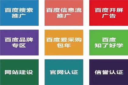 专业SEM代运营推广公司成功案例分享